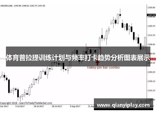 体育普拉提训练计划与频率打卡趋势分析图表展示