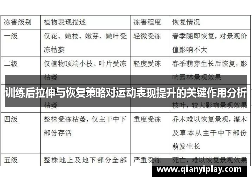 训练后拉伸与恢复策略对运动表现提升的关键作用分析